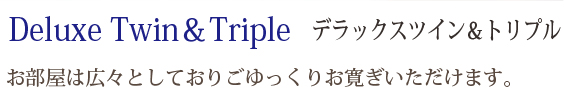 Deluxe Twin＆Triple デラックスツイン＆トリプル：お部屋は広々としておりごゆっくりお寛ぎいただけます。